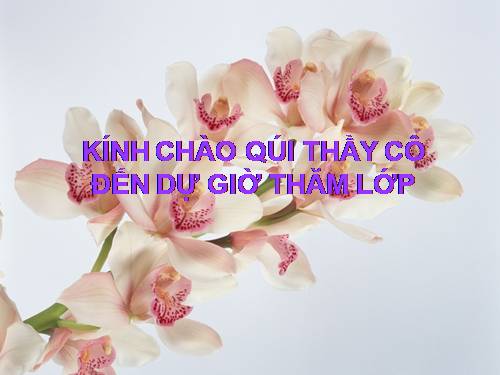 Bài 4. Lao động và việc làm. Chất lượng cuộc sống