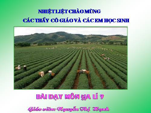 Bài 29. Vùng Tây Nguyên (tiếp theo)