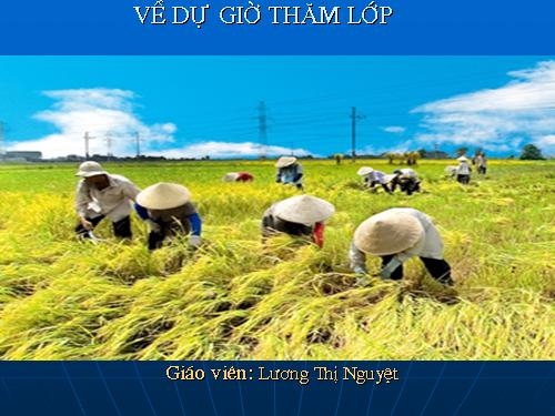 Bài 36. Vùng Đồng bằng sông Cửu Long (tiếp theo)