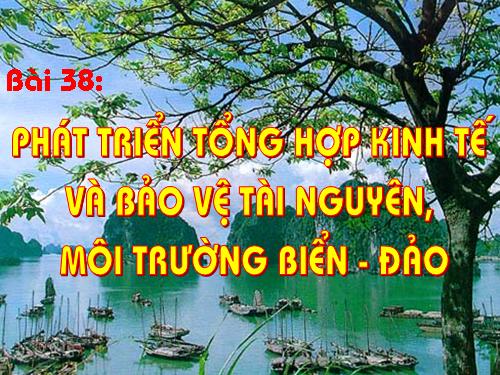 Bài 38. Phát triển tổng hợp kinh tế và bảo vệ tài nguyên, môi trường biển - đảo