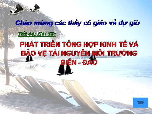 Bài 38. Phát triển tổng hợp kinh tế và bảo vệ tài nguyên, môi trường biển - đảo