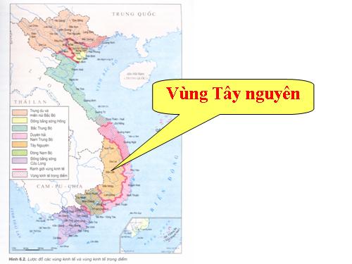 Bài 28. Vùng Tây Nguyên