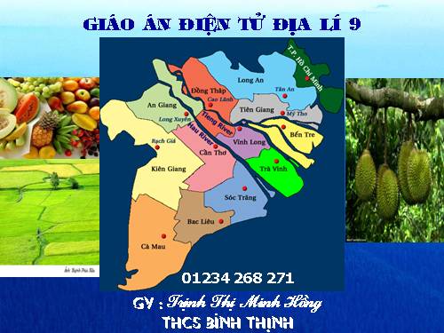 Bài 36. Vùng Đồng bằng sông Cửu Long (tiếp theo)