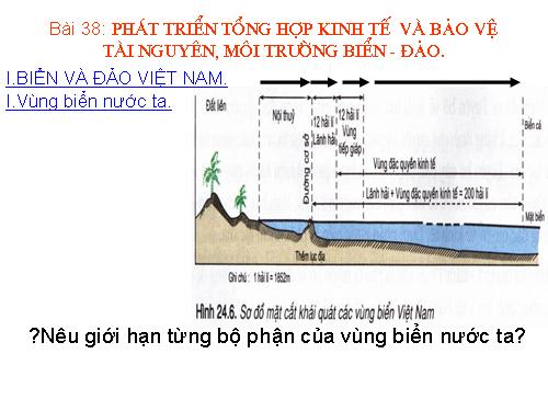 Bài 38. Phát triển tổng hợp kinh tế và bảo vệ tài nguyên, môi trường biển - đảo