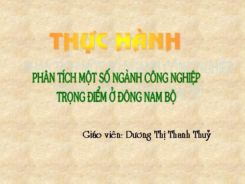 Bài 34. Thực hành: Phân tích một số ngành công nghiệp trọng điểm ở Đông Nam Bộ