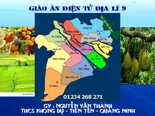 Bài 36. Vùng Đồng bằng sông Cửu Long (tiếp theo)