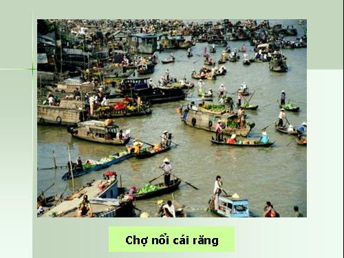 Bài 35. Vùng Đồng bằng sông Cửu Long