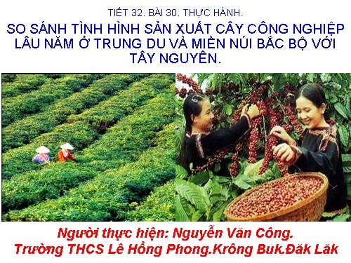 Bài 30. Thực hành: So sánh tình hình sản xuất cây công nghiệp lâu năm ở Trung du và miền núi Bắc Bộ với Tây Nguyên