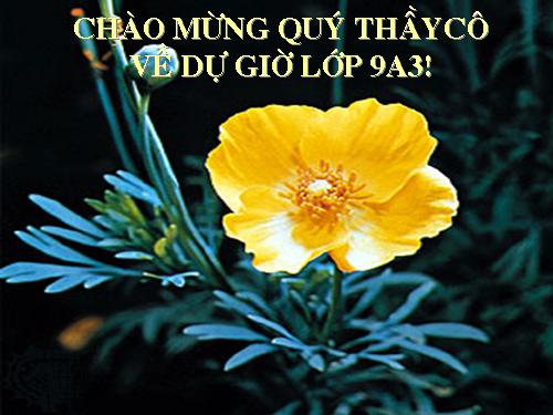 Bài 17. Vùng Trung du và miền núi Bắc Bộ