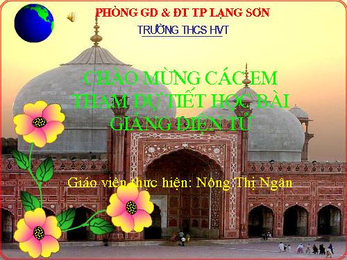 Bài 21. Vùng Đồng bằng sông Hồng (tiếp theo)