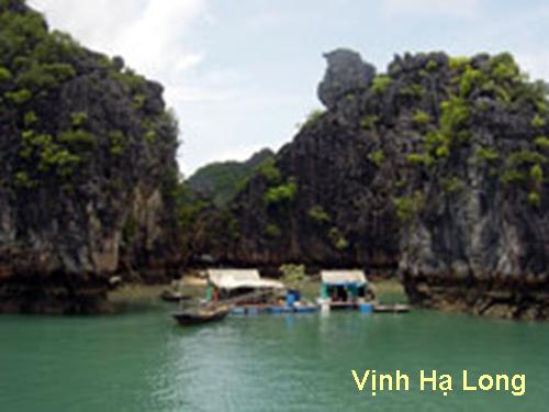 Tiết 15: Thương mại và Du lịch