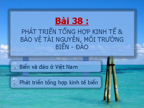 Bài 38. Phát triển tổng hợp kinh tế và bảo vệ tài nguyên, môi trường biển - đảo