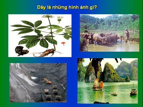 Bài 17. Vùng Trung du và miền núi Bắc Bộ