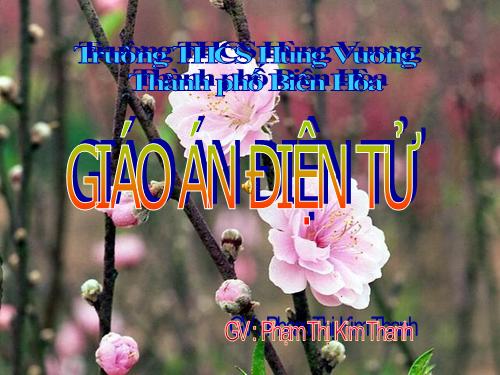 Bài 41. Địa lí tỉnh (thành phổ)