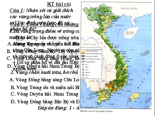 Tiết 9 - Địa 9