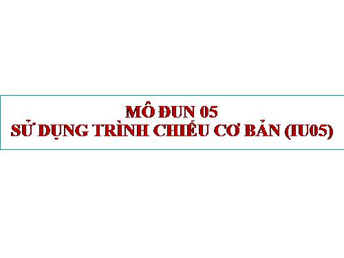 www.thegioitinhoc24h.com_module-05-su-dung-trinh-chieu-co-ban-iu05