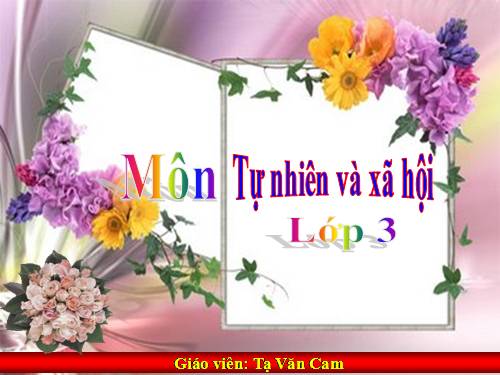 dong vat lop 3