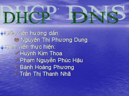 DHCP DNS