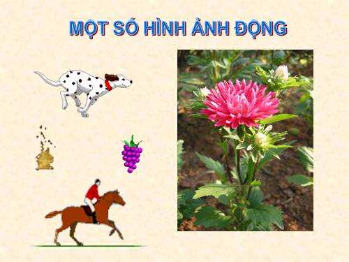TIN HỌC 9 LAM QUEN VỚI PHẦN MỀM TẠO HÌNH ẢNH ĐỘNG