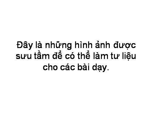 Hình ảnh mọi miền