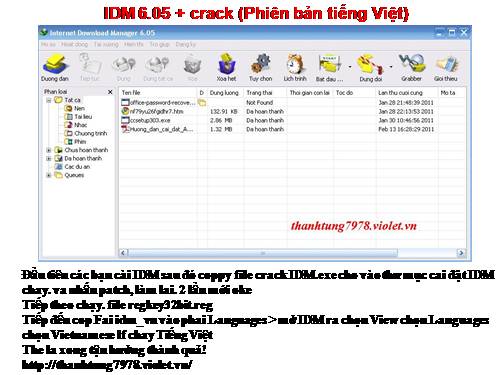 IDM 6.05(Tiếng Việt)Hỗ trợ Download cực nhanh