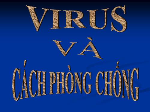 Virut và cách phòng chống