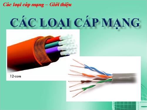 Cable - Phân loại Cable