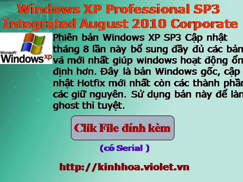 Windows XP Professional SP3