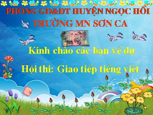 chim gõ kiến và cây sồi