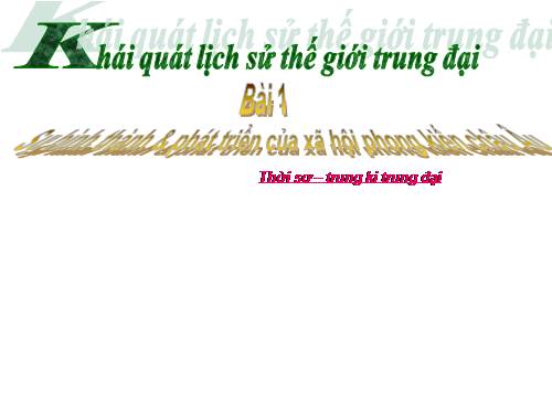 Các lệnh trong Run