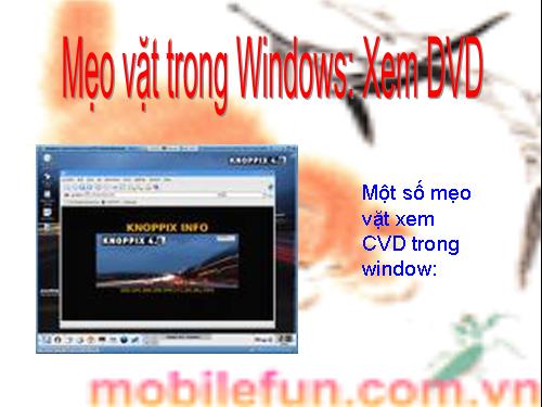 Mẹo vặt trong Windows Xem DVD