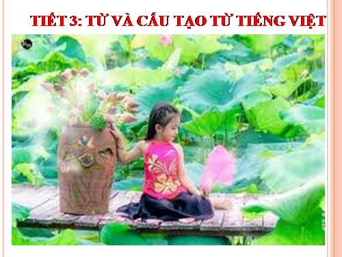 Bài 1. Từ và cấu tạo của từ tiếng Việt