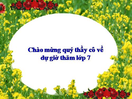 Bài 13. Nước Đại Việt ở thế kỉ XIII