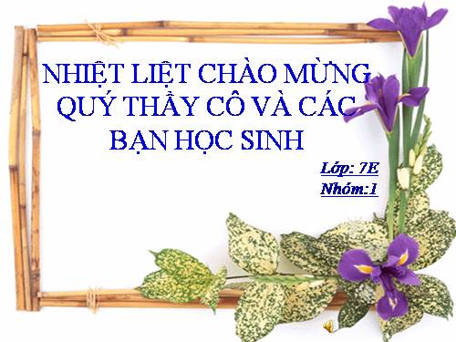 Bài 13. Nước Đại Việt ở thế kỉ XIII