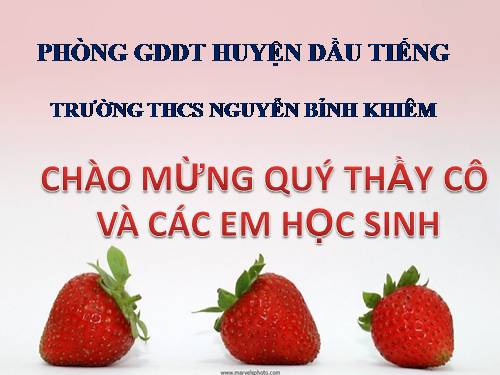 Bài 15. Sự phát triển kinh tế và văn hoá thời Trần