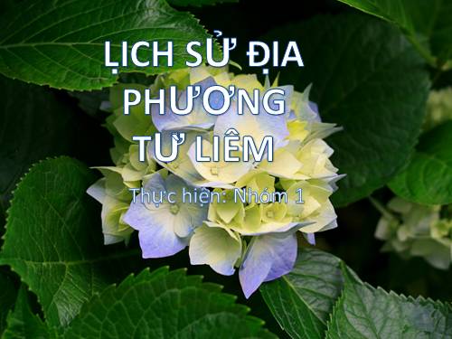 Lịch Sử Địa Phương- Từ Liêm