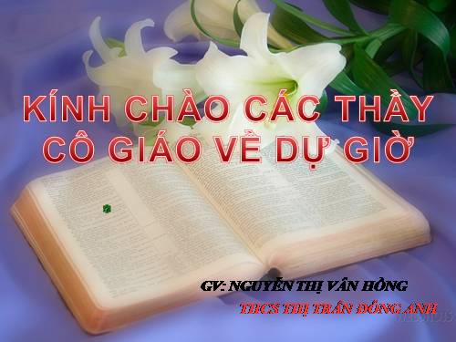 Bài tập lịch sử chương 5