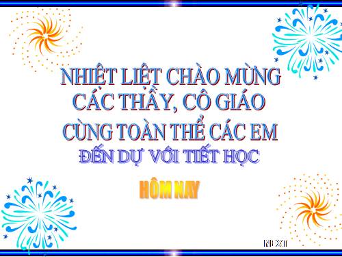 Bài 13. Nước Đại Việt ở thế kỉ XIII