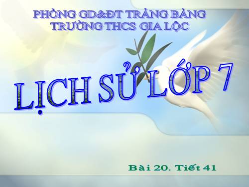 Bài 20. Nước Đại Việt thời Lê sơ (1428 - 1527)