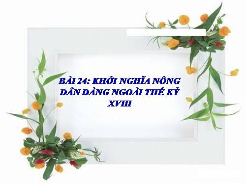 Bài 24. Khởi nghĩa nông dân Đàng Ngoài thế kỉ XVIII