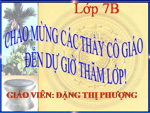 Bài 13. Nước Đại Việt ở thế kỉ XIII