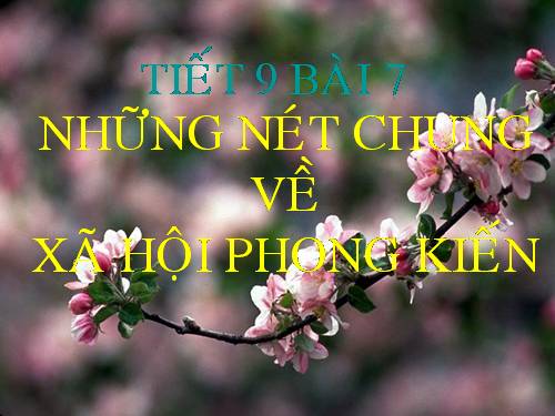 Bài 7. Những nét chung về xã hội phong kiến