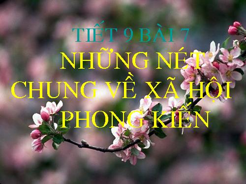 Bài 7. Những nét chung về xã hội phong kiến