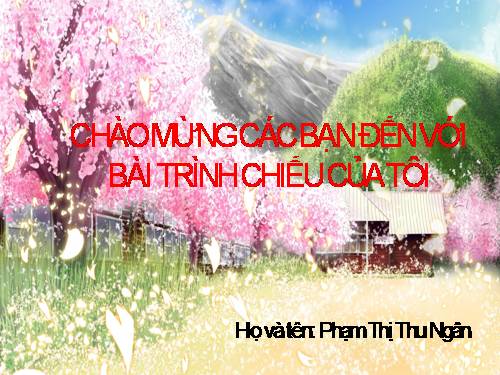 Bài thực hành 10. Thực hành tổng hợp