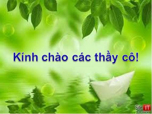 Bài 10. Màu sắc trên trang chiếu