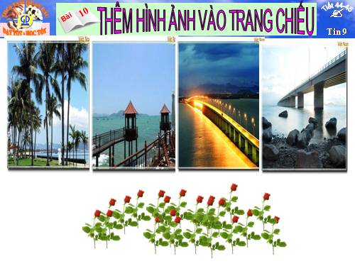 Bài 11. Thêm hình ảnh vào trang chiếu