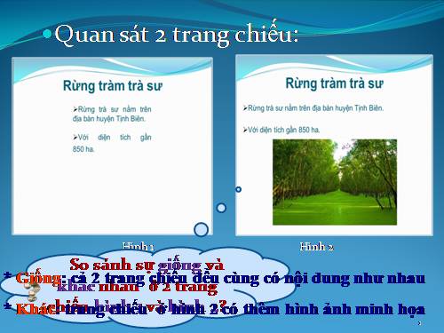 Bài 11. Thêm hình ảnh vào trang chiếu