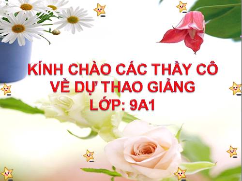 Bài 13. Thông tin đa phương tiện