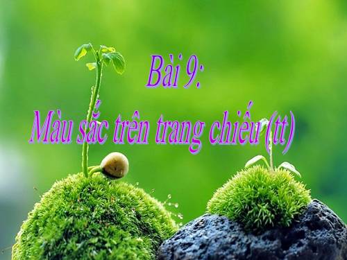 Bài 10. Màu sắc trên trang chiếu tiết 2