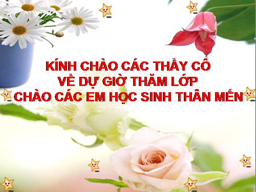 Bài 13. Thông tin đa phương tiện